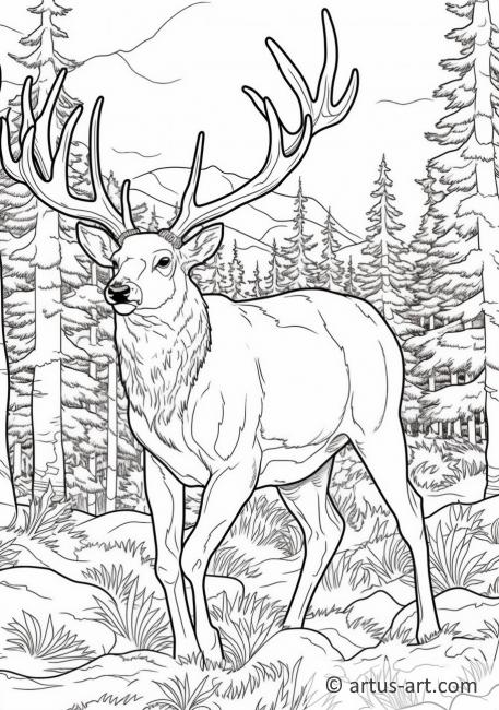 Mule deer Coloring Page For Kids
